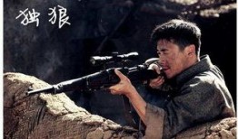 毒狼在线观看,揭秘网络暗流涌动的惊悚世界