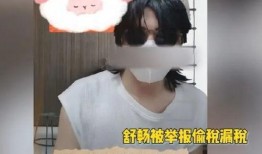 明星偷税爆料事件视频完整版,视频完整版深度剖析