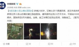 杨某爆料深圳新闻事件,深圳新闻事件背后真相曝光