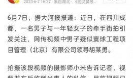 汉中小三爆料事件最新情况,最新进展揭秘，真相大白？