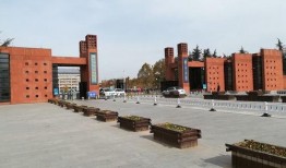 郑州大学城爆料案件最新,真相揭秘，校园安全再引关注