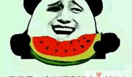免费吃瓜入口最新梗图,揭秘网络热梗背后的趣味与深思