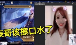 王者爆料秀哥视频大全集,揭秘游戏幕后精彩瞬间