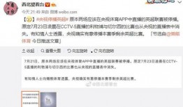 爆料陈昌文媒体视频,揭秘真实内幕