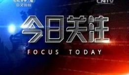 怎样向今日关注爆料,如何高效爆料，助力真相大白
