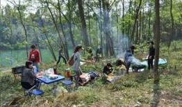 浙江野炊露营爆料案件最新,揭秘山林神秘事件真相揭晓