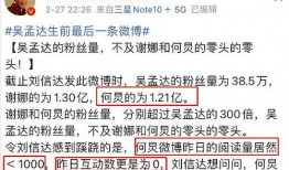 明星偷税爆料事件视频完整版,视频完整版深度剖析