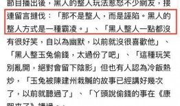 爆料女明星偷钱视频,女明星视频泄露引发舆论风暴