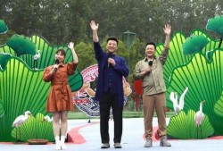 丽水设计师爆料视频最新,最新设计趋势与创意灵感大曝光