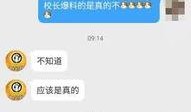 老板在线吃瓜免费观看网站,免费观看网站带你畅享娱乐盛宴