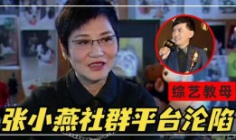 斩虎和陈泽爆料视频,陈泽爆料视频深度解析